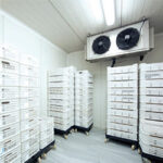 cet-monitoring-ammonia-in-cold-storage-room